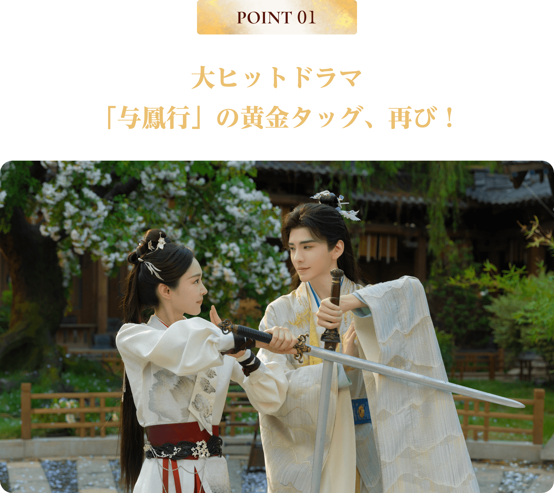 POINT 01／大ヒットドラマ「与鳳行」の黄金タッグ、再び！ | 与晋長安～乱世に咲く、宿命の華～｜衛星劇場