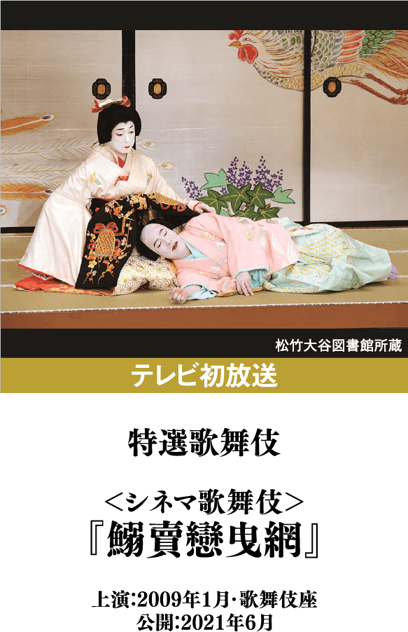 特選歌舞伎『＜シネマ歌舞伎＞『鰯賣戀曳網』』 | 「歌舞伎ラインナップ」特設サイト｜衛星劇場