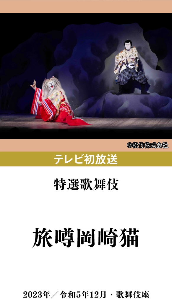 特選歌舞伎『旅噂岡崎猫』 | 「歌舞伎ラインナップ」特設サイト｜衛星劇場