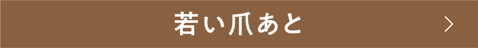 若い爪あと | 「小西康陽の名画座の最前列で。」特設サイト｜衛星劇場
