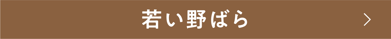 若い野ばら | 「小西康陽の名画座の最前列で。」特設サイト｜衛星劇場