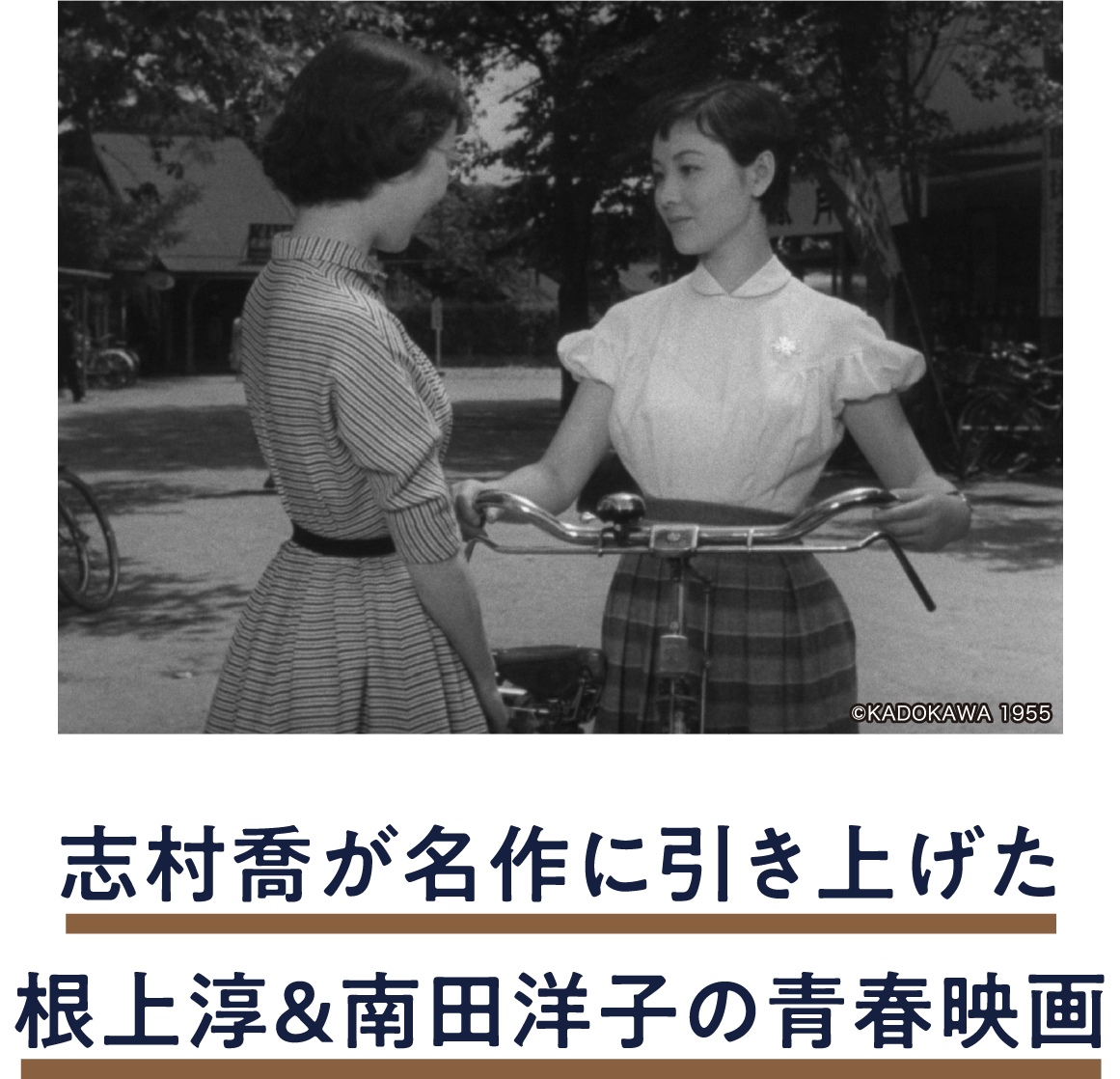 娘の人生案内 | 「小西康陽の名画座の最前列で。」特設サイト｜衛星劇場