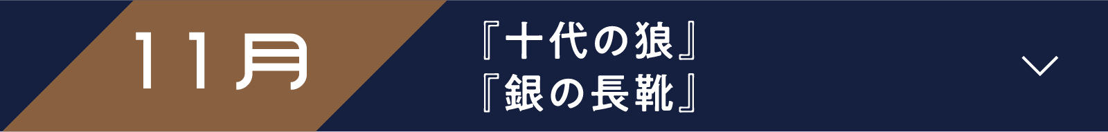11月 『十代の狼』『銀の長靴』 | 「小西康陽の名画座の最前列で。」特設サイト｜衛星劇場