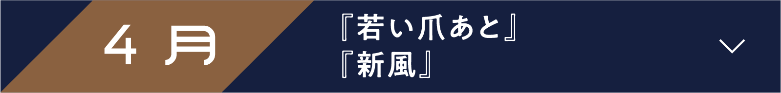 4月 『若い爪あと』『新風』 | 「小西康陽の名画座の最前列で。」特設サイト｜衛星劇場
