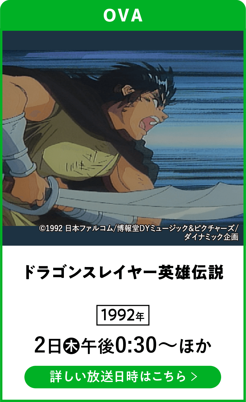 ドラゴンスレイヤー英雄伝説 | 「VHSを巻き戻せ！俺たちのOVA特集」特設サイト ｜衛星劇場