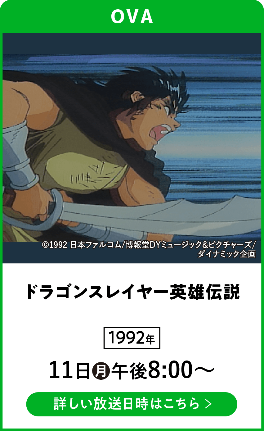 ドラゴンスレイヤー英雄伝説 | 「VHSを巻き戻せ!俺たちのOVA特集」特設サイト |衛星劇場