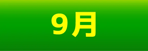 9月 | 「VHSを巻き戻せ！俺たちのOVA特集」特設サイト
