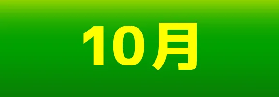 10月 | 「VHSを巻き戻せ！俺たちのOVA特集」特設サイト